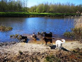 Camping De Hofstee in Zuidlaarderveen