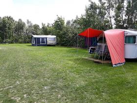Camping De Waddenster in Den Hoorn - Texel
