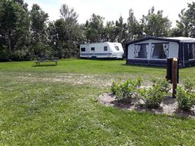 Camping De Waddenster in Den Hoorn - Texel