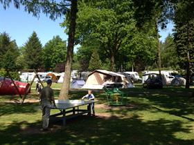 Camping Bospark Ede in Ede