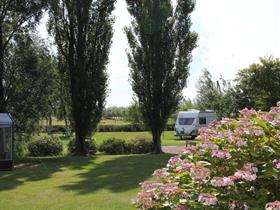 Camping De  Tjasker in Wijckel