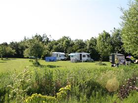 Camping Robersum in Vierhuizen