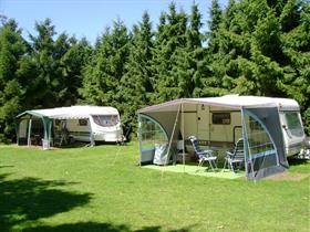 Camping De Molenhoek in Haarle