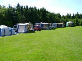 Camping De Molenhoek in Haarle