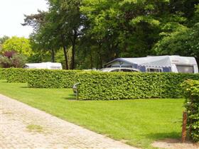 Camping Nederrijkswald in Berg en Dal