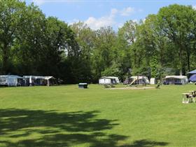 Camping Midzomer in Diever