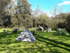 Camping Muggenbeet in Blokzijl