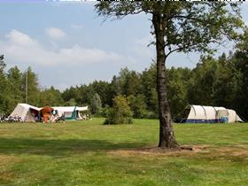 Camping It Wiid in Eernewoude