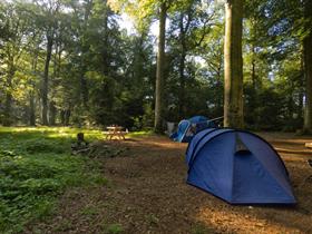 Camping Boxbergen in Wesepe