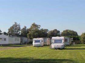 Camping Modjo Kerto in Oostvoorne