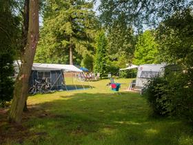 Camping De Maarnse Berg in Maarn