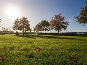 Camping Het Wisbroek in Sint Hubert