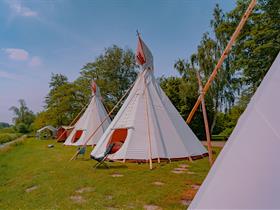 Camping Energy-up in Zeewolde