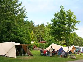 Camping De Slangenbult in Stokkum