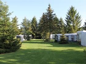 Camping Sparrenhof in Gasselte