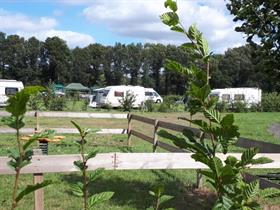 Camping De Rozehoeve in 't Harde