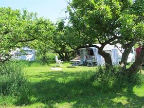 Camping In het Fruit in Zuidoostbeemster