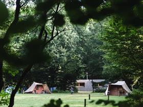 Camping Drie in Ermelo