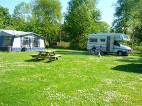 Camping De Bosrand in Dwingeloo