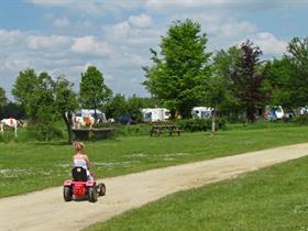 Camping De Ganzenhof in Bladel