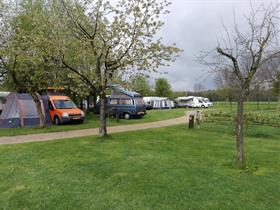 Camping De Ganzenhof in Bladel