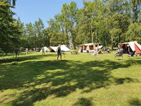 Camping Bos en Pingo in Kollum