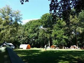 Camping Oldenhof in Vollenhove