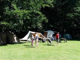 Camping Oldenhof in Vollenhove