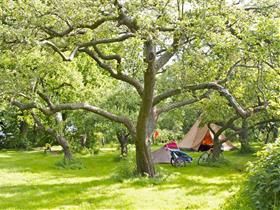 Camping De Grutto in Schipluiden