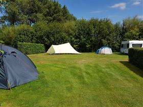 Camping Hof van Autriche in Westdorpe