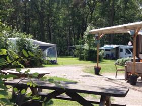 Camping De Hippe Kip in Beltrum