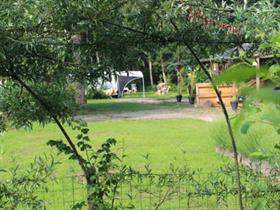 Camping De Hippe Kip in Beltrum