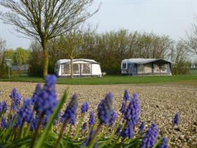 Camping De Groene Waard in Noordeloos