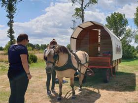 Camping Orvelte in Orvelte