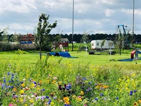 Camping Waleuk in Waalwijk