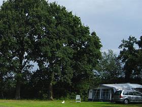 Camping Erve Snieder in Mander