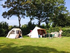 Camping Westerwijk in Koudekerke