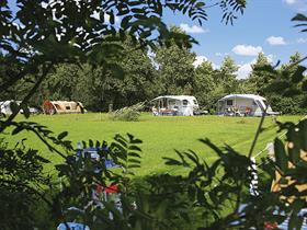 Camping d'Elf Ieken in Elsloo