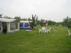 Camping De Fruitgaard in Noordbroek
