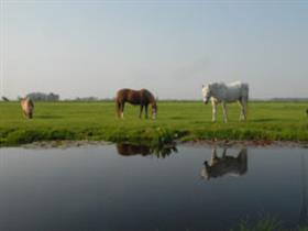Camping Veldhoeve in Zoeterwoude