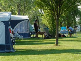 Camping Erve De Weijenberg in Empe