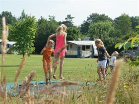 Camping Falkenborg in Beltrum