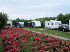 Camping De Bloemhoek in Kerkwerve