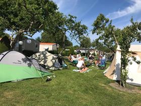 Camping In de Bongerd in Oostkapelle