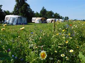 Camping De Westert in Castricum/Limmen