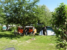 Camping De Boogaard in Hekendorp