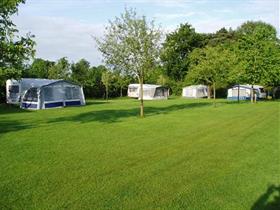 Camping Erve Vleerbosch in Haarle