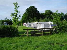 Camping Erve Vleerbosch in Haarle