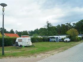 Camping De Vogelsangh in Ommen