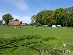 Camping Erve-Bekhuis in Tilligte